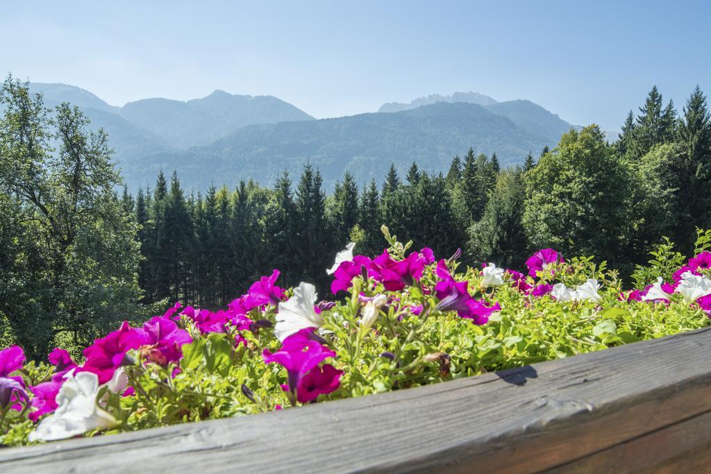 Ferienhaus Waldhof Hermagor-Pressegger See Exteriér fotografie